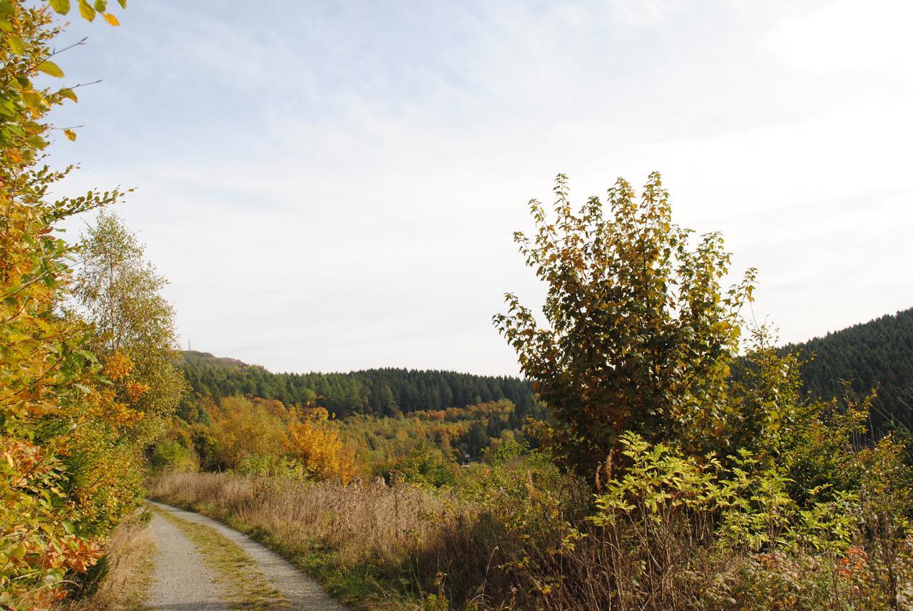 Landgasthof Gruss Brilon Eksteriør billede